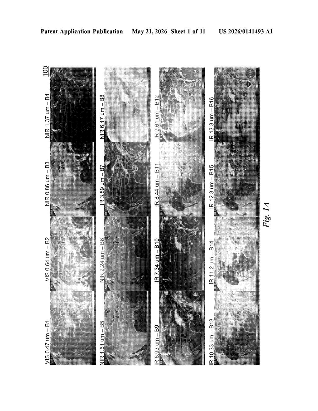 Nvidia Patent: Predicting Radar Reflectivity from Satellite Data — figure from US 2026/0141493 A1