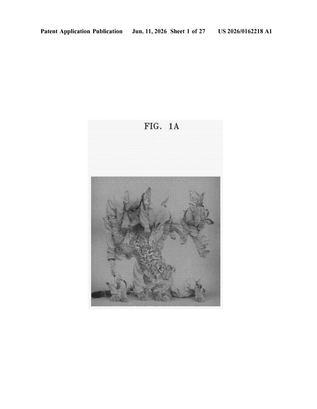 Samsung Patent: AI Image Upscaling Without Retraining — figure from US 2026/0162218 A1