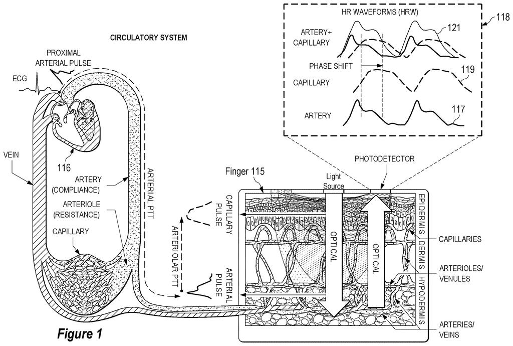 A finger placed on a sensor, showing light penetrating the skin to detect arterial and capillary pulses within the circulatory system. Drawing from patent filing US 2026/0272307 A1.