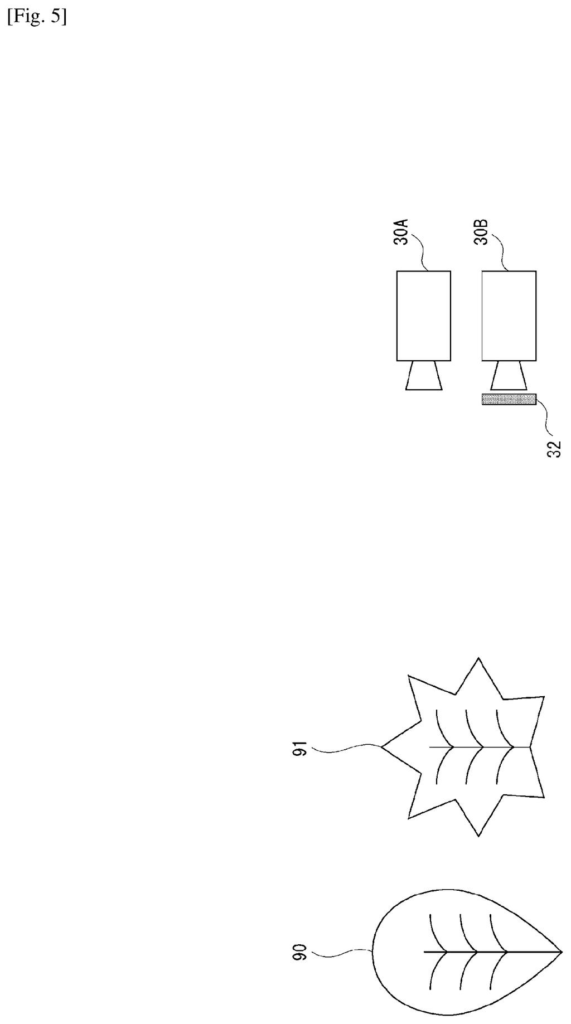 Two cameras are positioned to capture images of different types of leaves, with one camera using a polarizing filter. Drawing from patent filing US 2026/0287422 A1.
